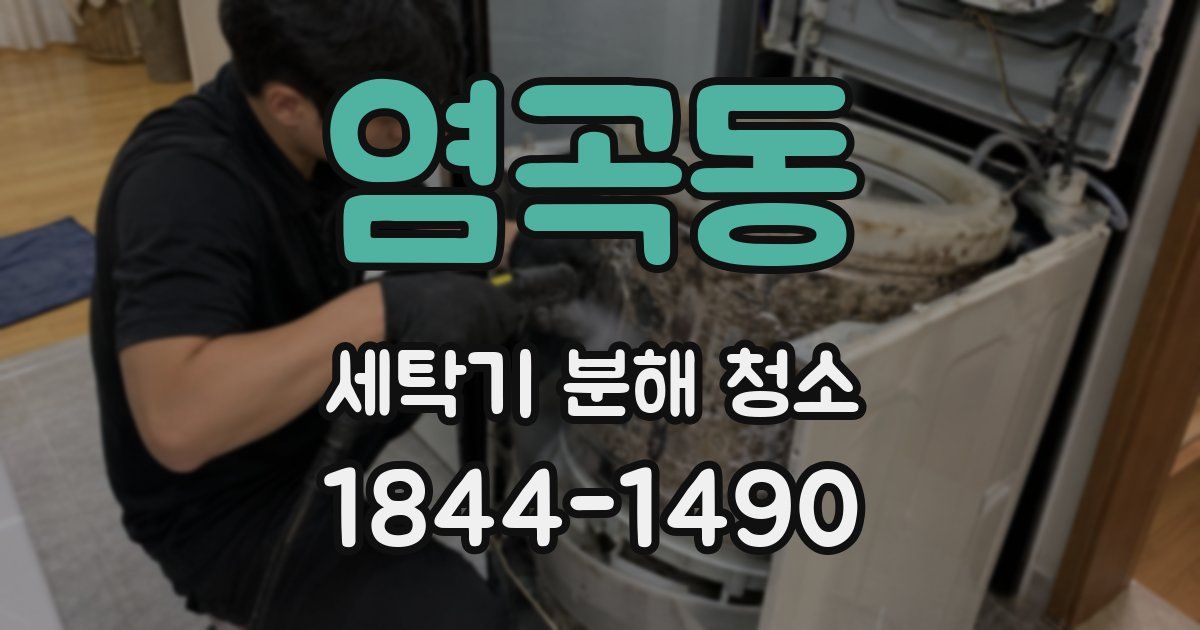 염곡동 세탁기 분해 청소