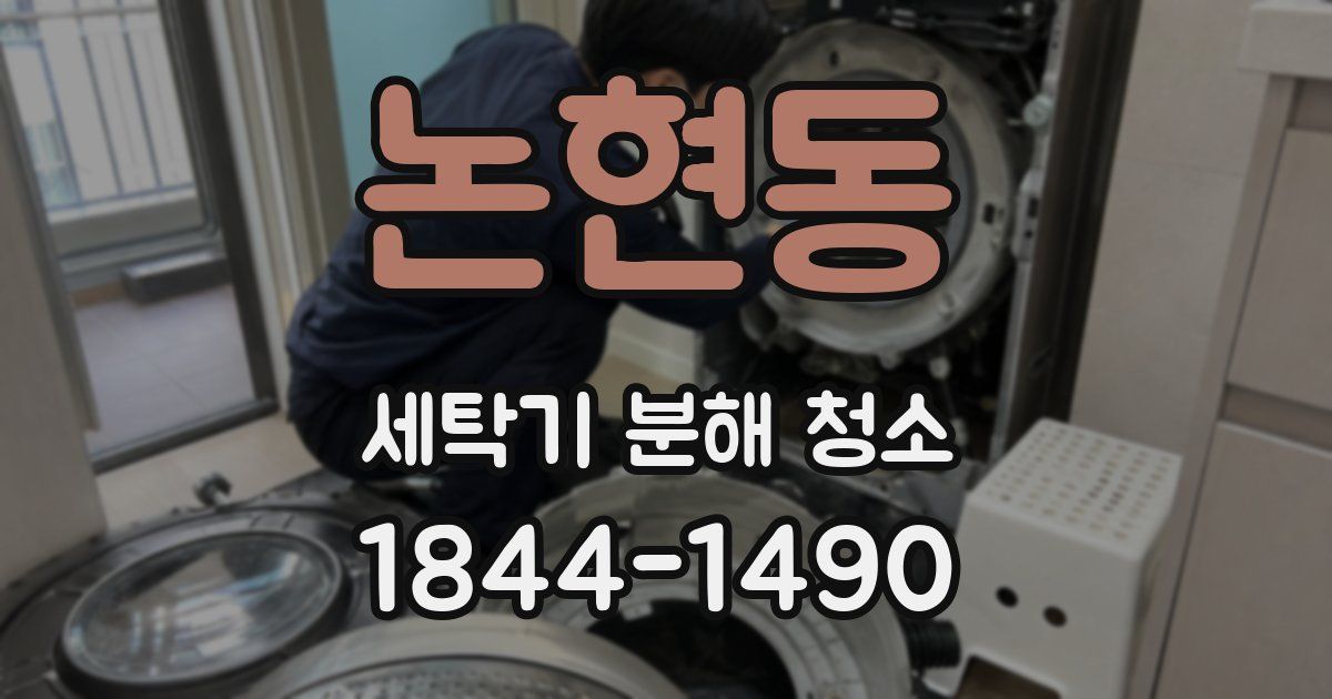 논현동 세탁기 분해 청소