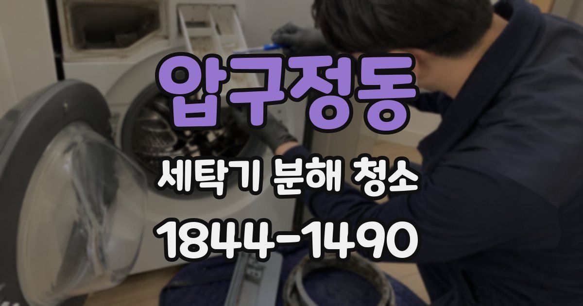 압구정동 세탁기 분해 청소