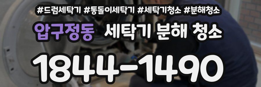 압구정동 세탁기 분해 청소
