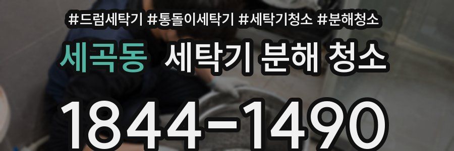 세곡동 세탁기 분해 청소