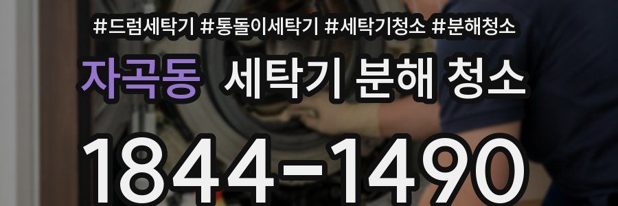 자곡동 세탁기 분해 청소