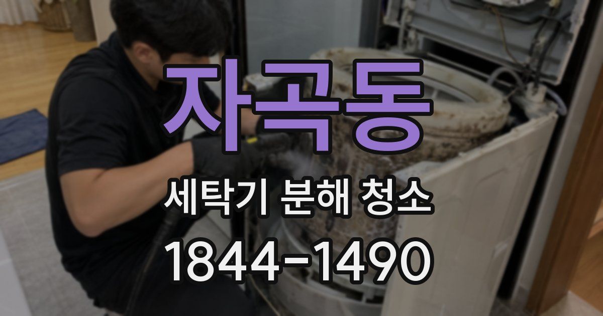 자곡동 세탁기 분해 청소