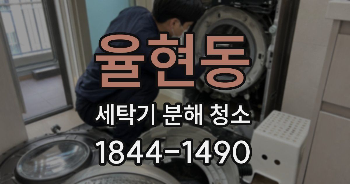 율현동 세탁기 분해 청소