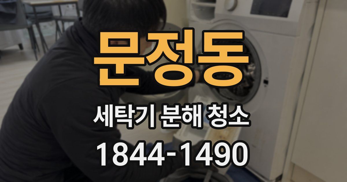 문정동 세탁기 분해 청소