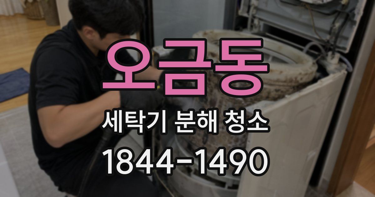 오금동 세탁기 분해 청소