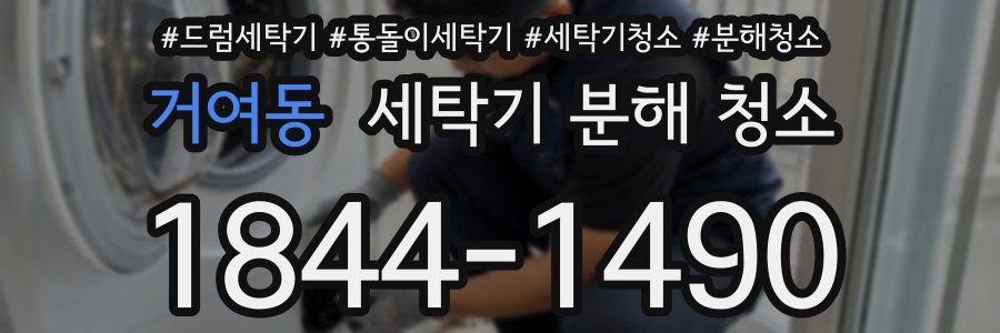 거여동 세탁기 분해 청소
