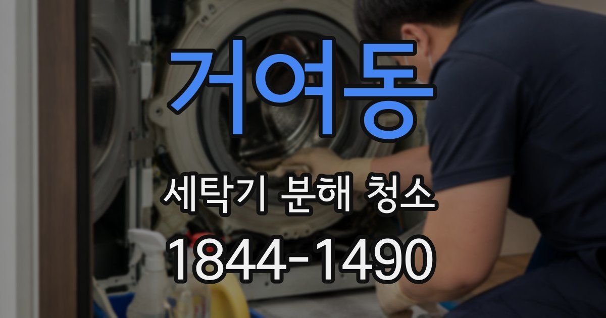 거여동 세탁기 분해 청소