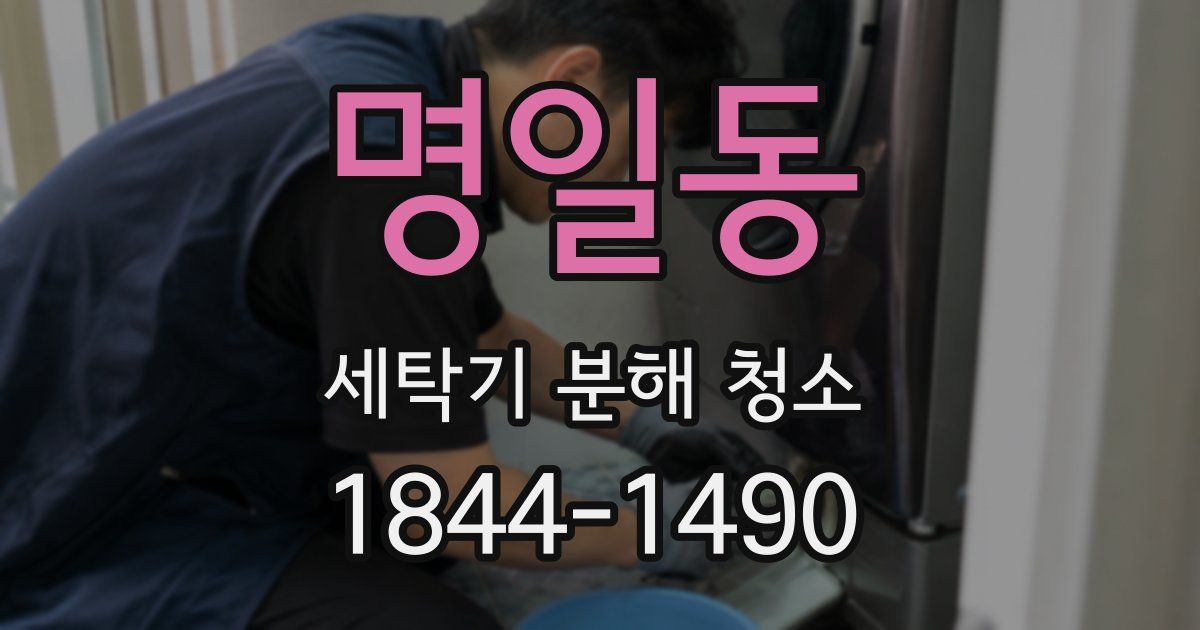 명일동 세탁기 분해 청소