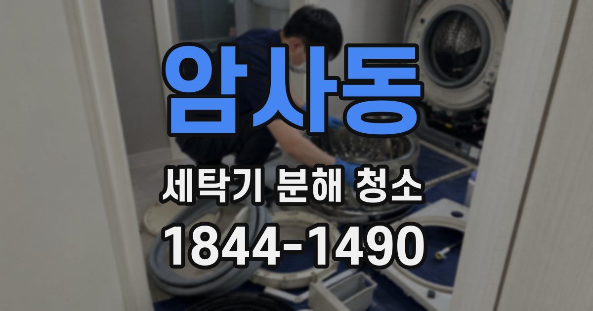 암사동 세탁기 분해 청소