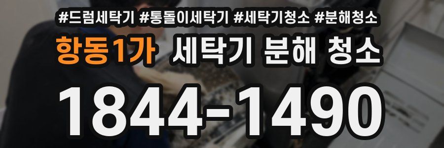 항동1가 세탁기 분해 청소