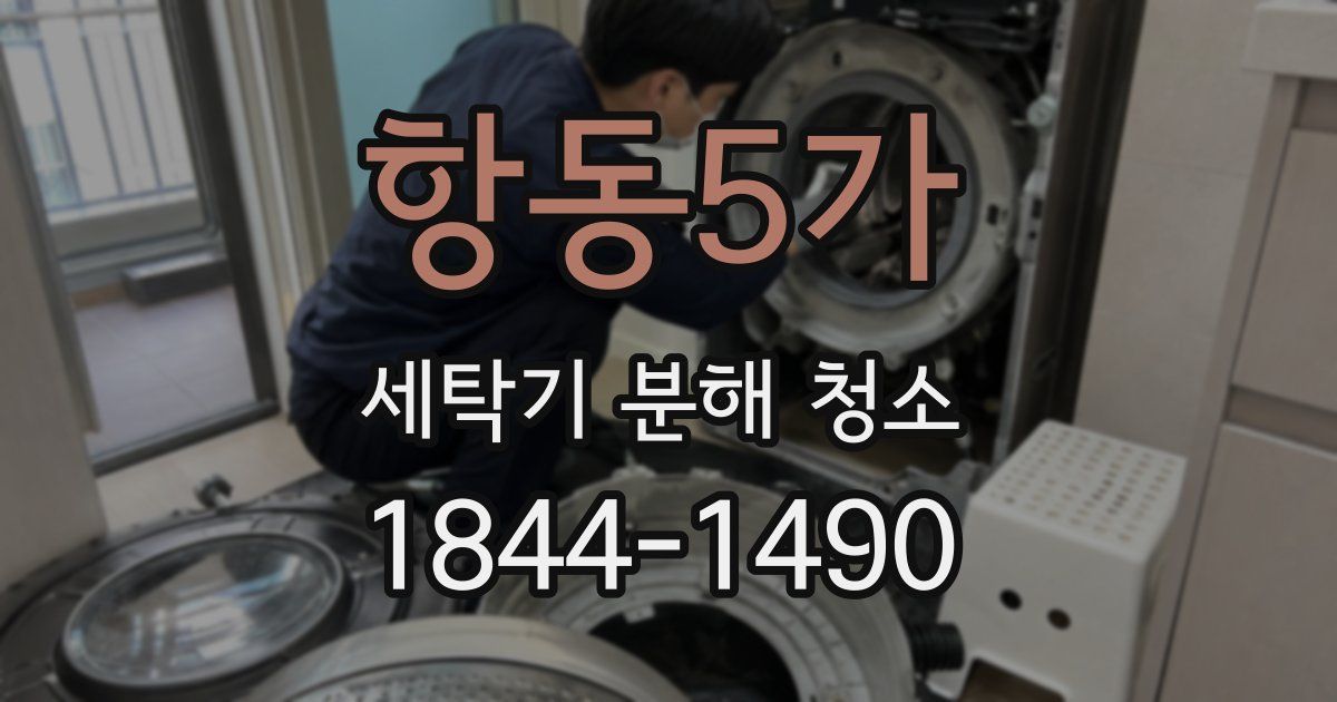 항동5가 세탁기 분해 청소