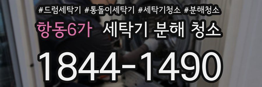항동6가 세탁기 분해 청소