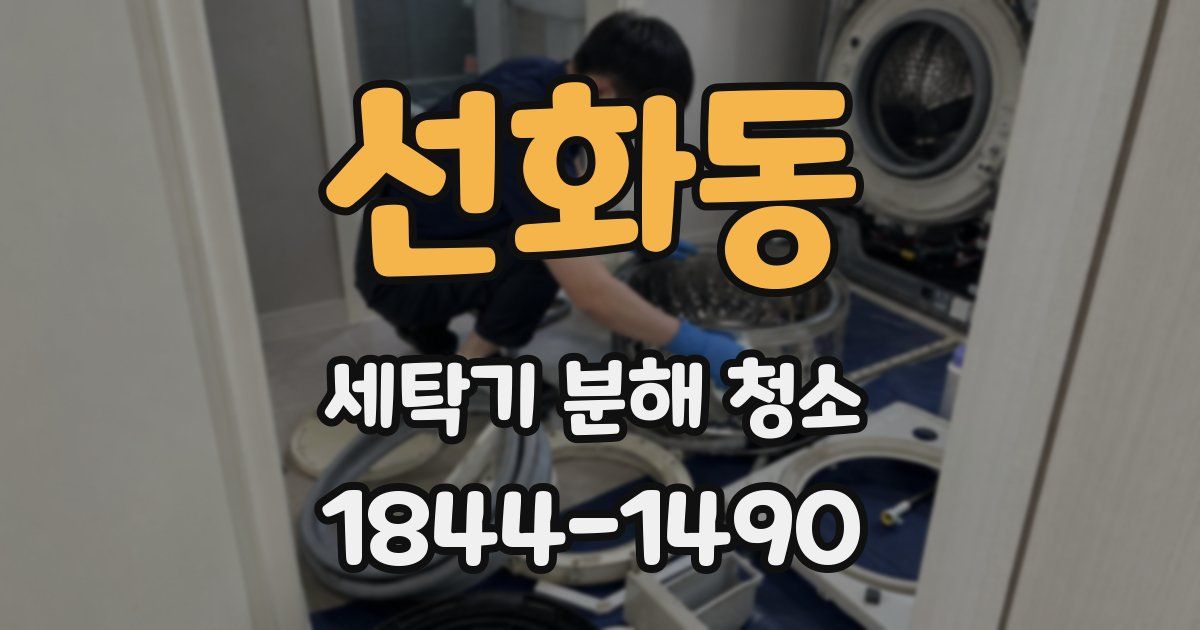 선화동 세탁기 분해 청소