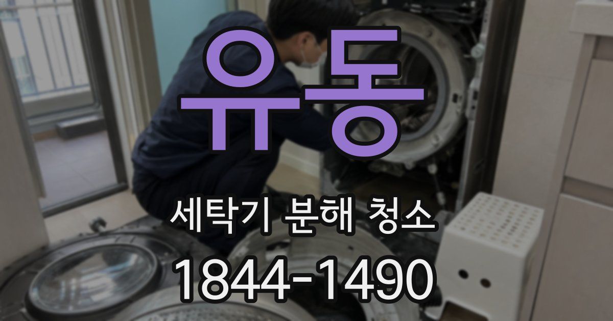 유동 세탁기 분해 청소
