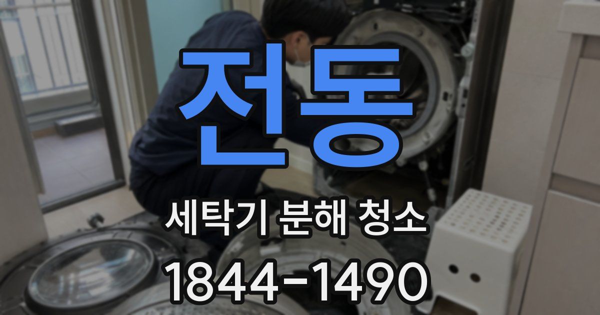 전동 세탁기 분해 청소