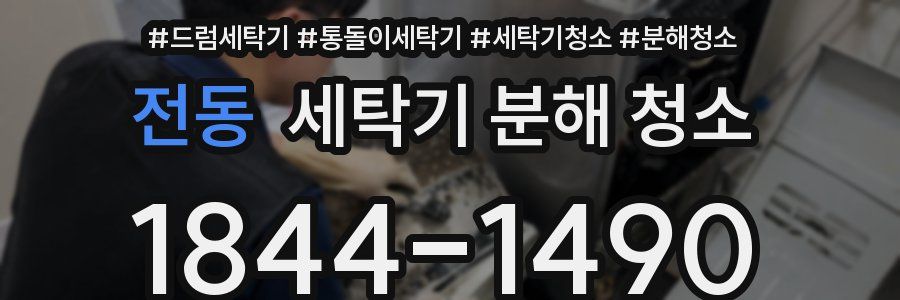 전동 세탁기 분해 청소