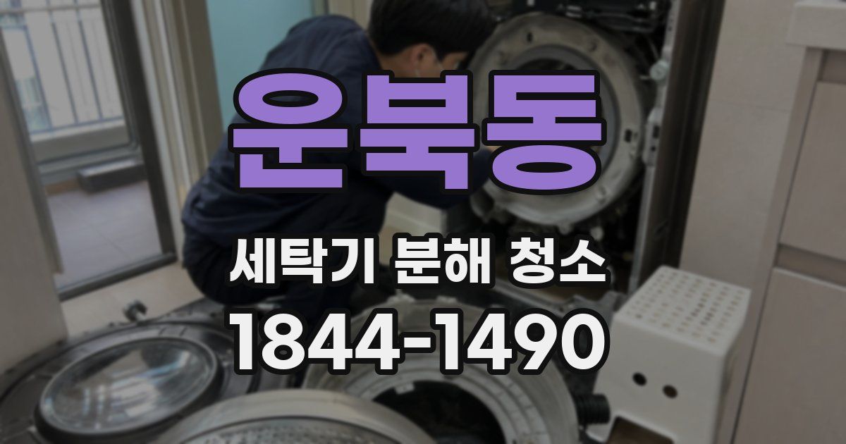 운북동 세탁기 분해 청소