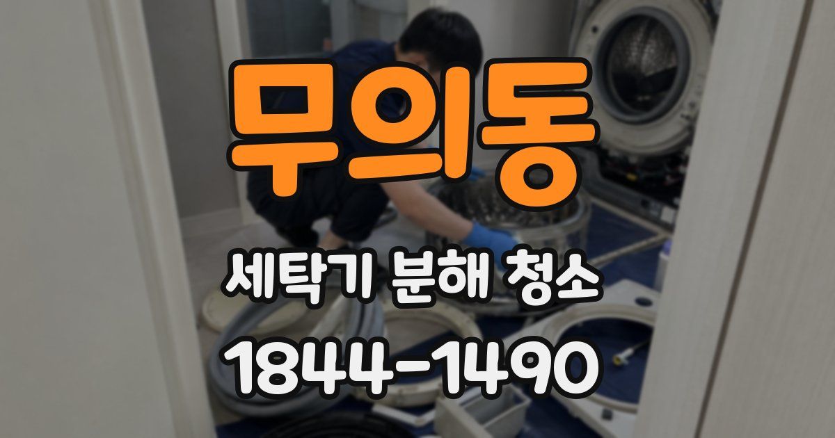 무의동 세탁기 분해 청소