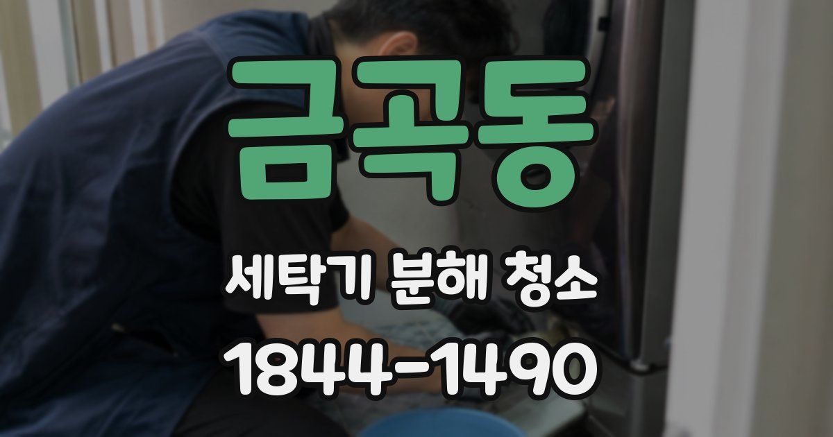 금곡동 세탁기 분해 청소