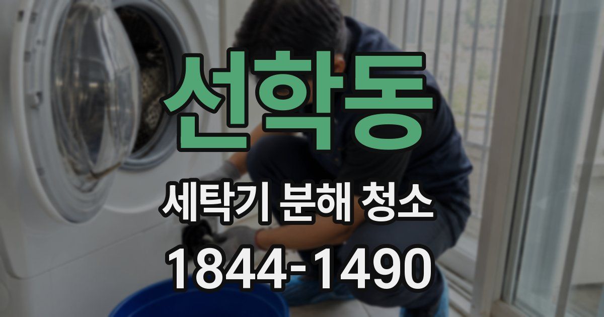 선학동 세탁기 분해 청소
