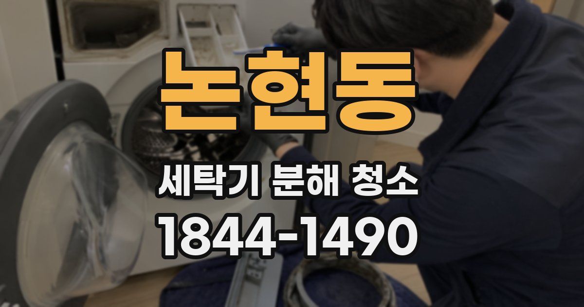논현동 세탁기 분해 청소