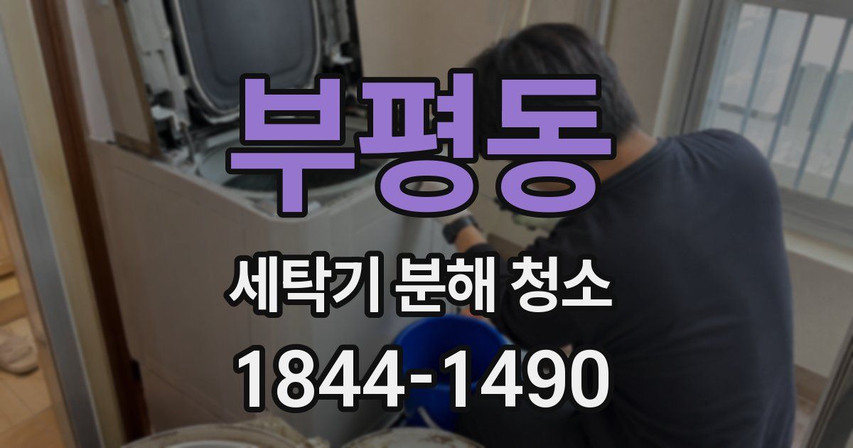 부평동 세탁기 분해 청소