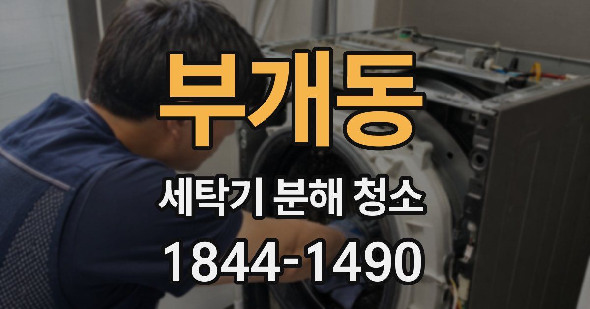 부개동 세탁기 분해 청소