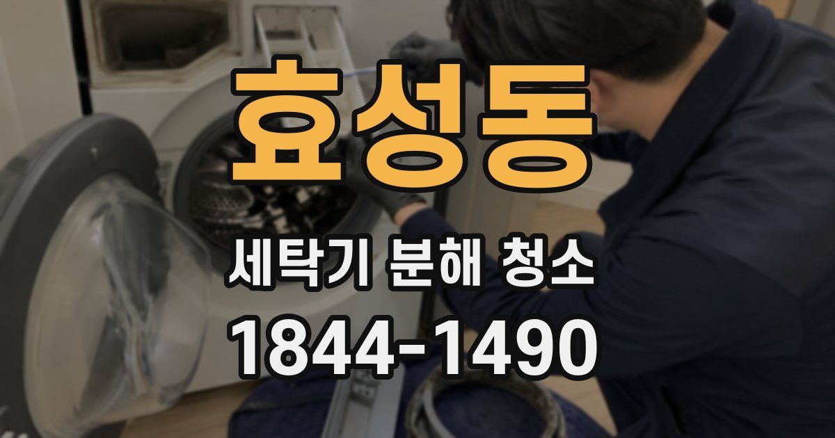 효성동 세탁기 분해 청소
