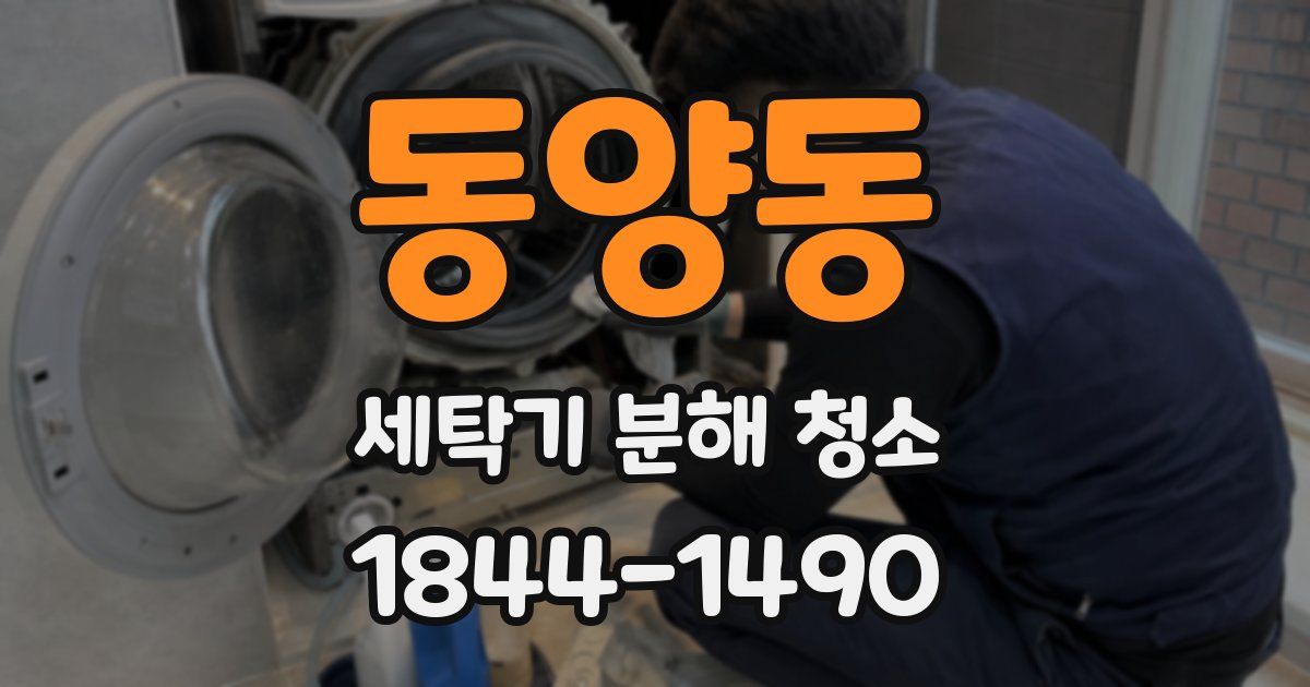 동양동 세탁기 분해 청소
