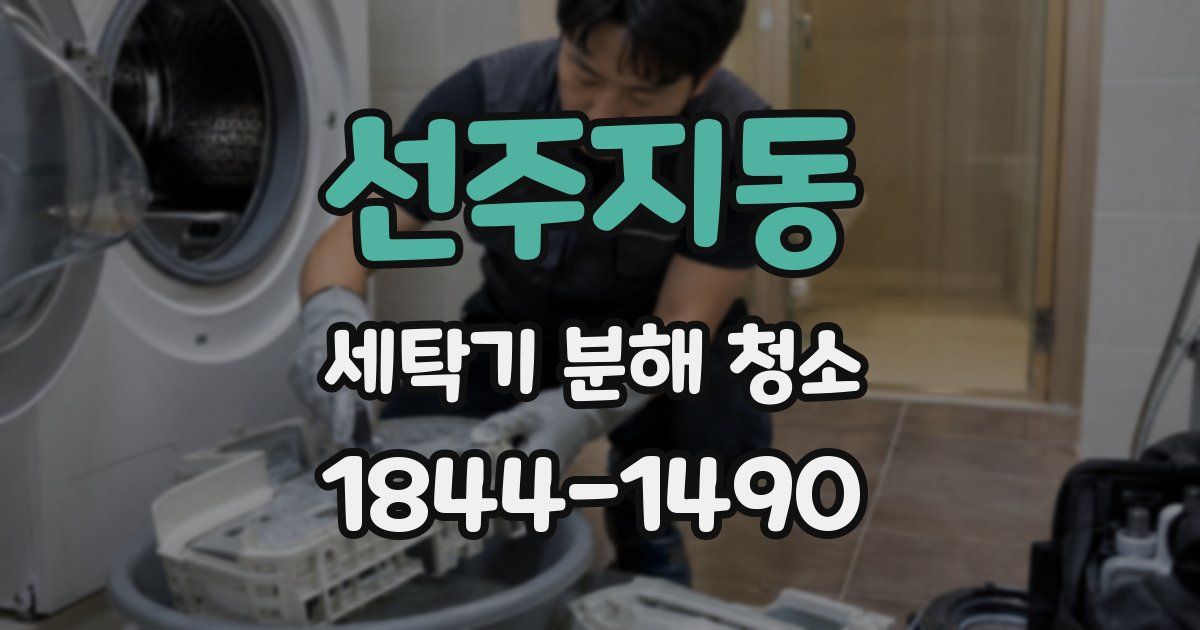 선주지동 세탁기 분해 청소