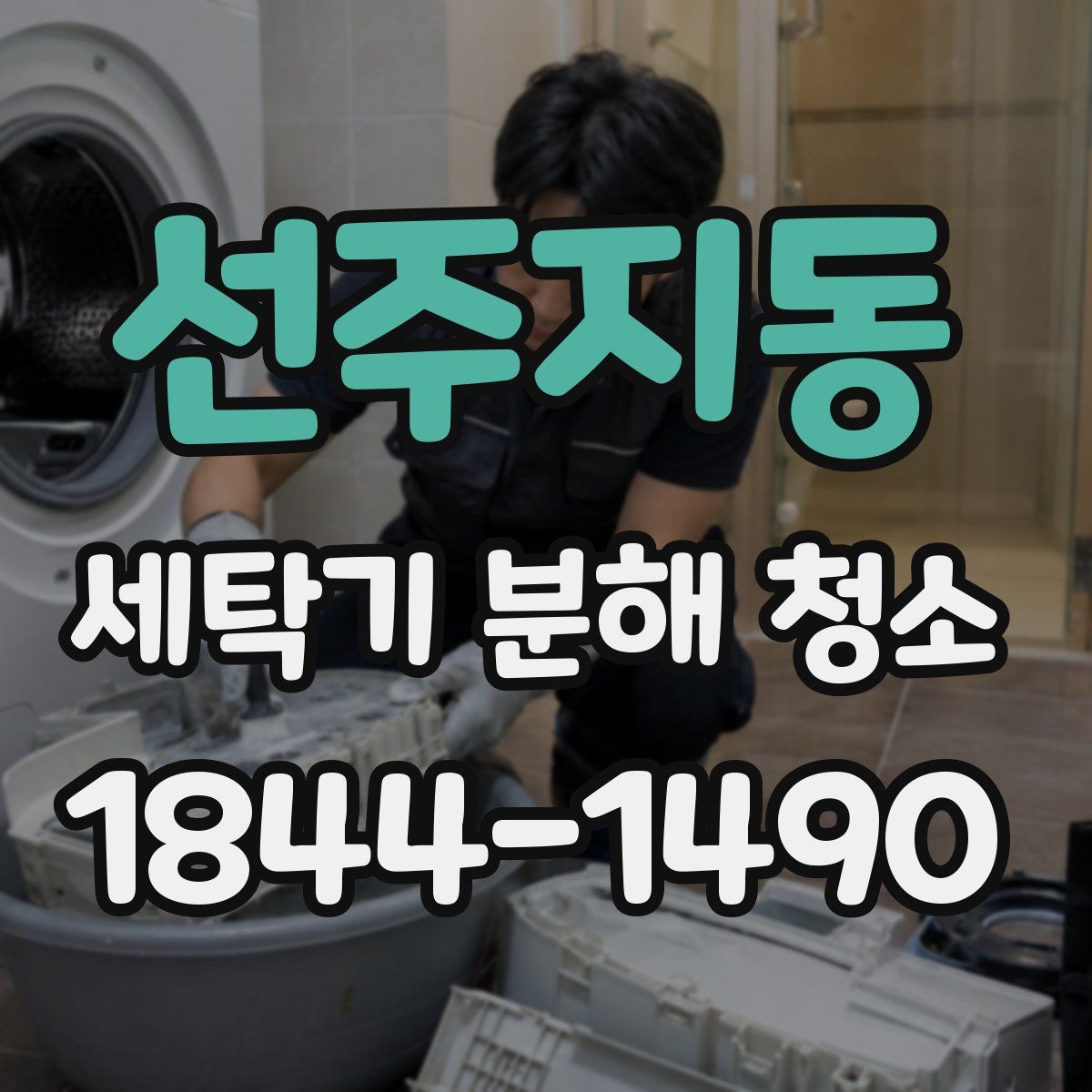 선주지동 세탁기 분해 청소