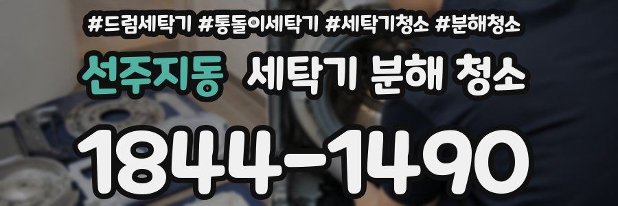 선주지동 세탁기 분해 청소