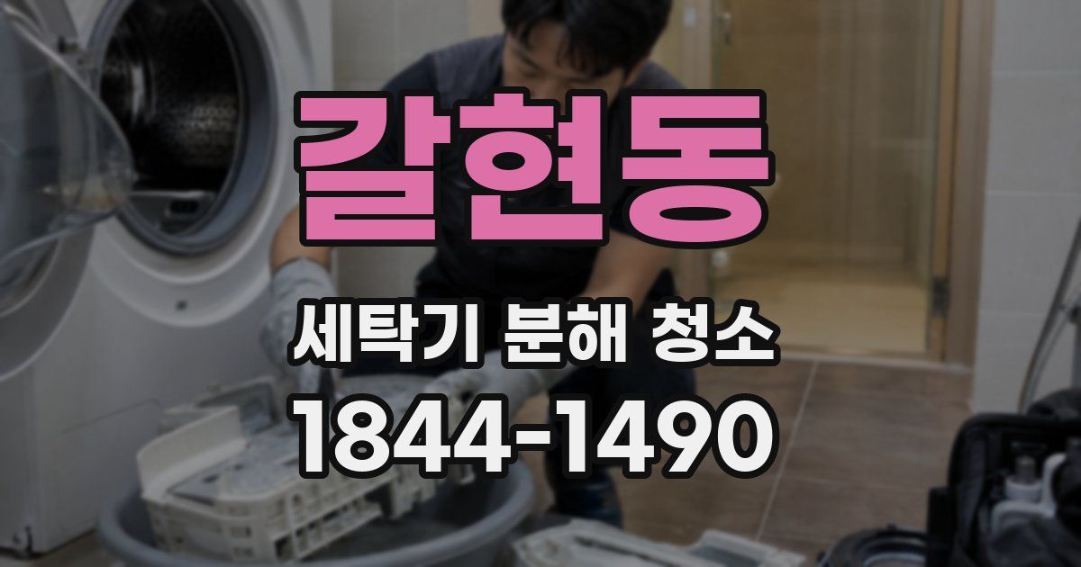 갈현동 세탁기 분해 청소