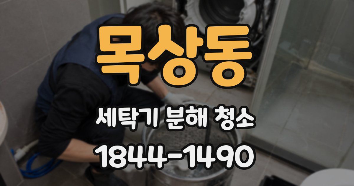 목상동 세탁기 분해 청소