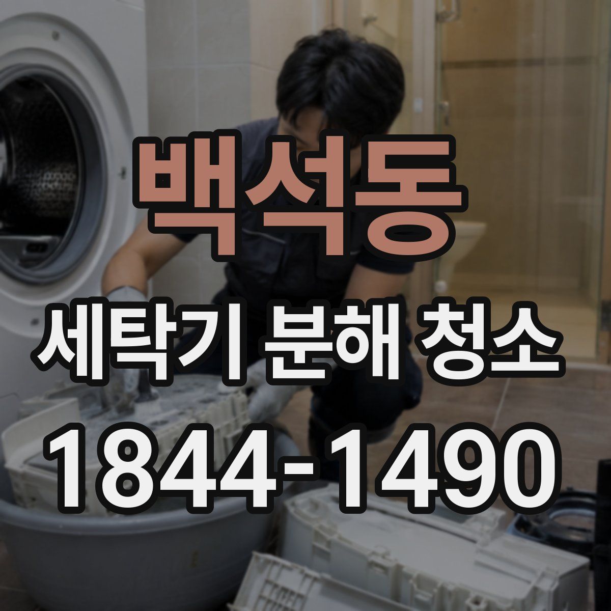 백석동 세탁기 분해 청소