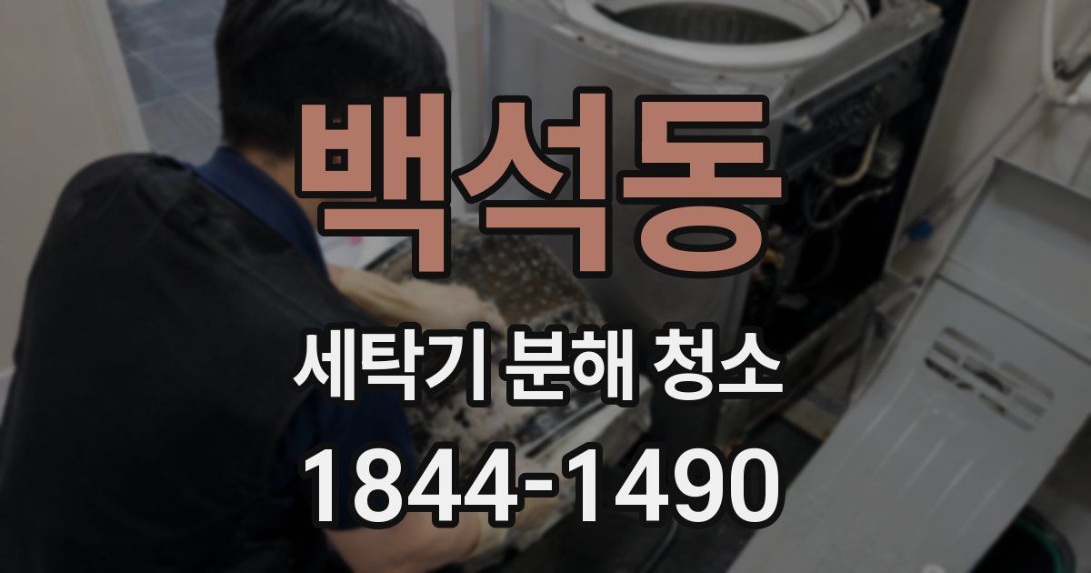 백석동 세탁기 분해 청소