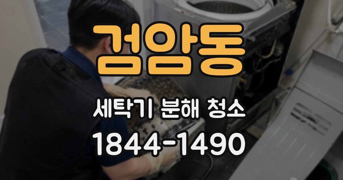 검암동 세탁기 분해 청소