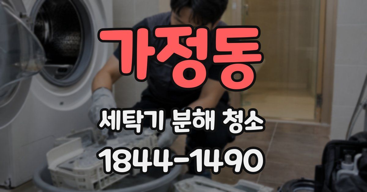 가정동 세탁기 분해 청소