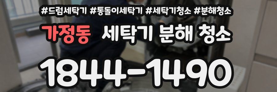 가정동 세탁기 분해 청소