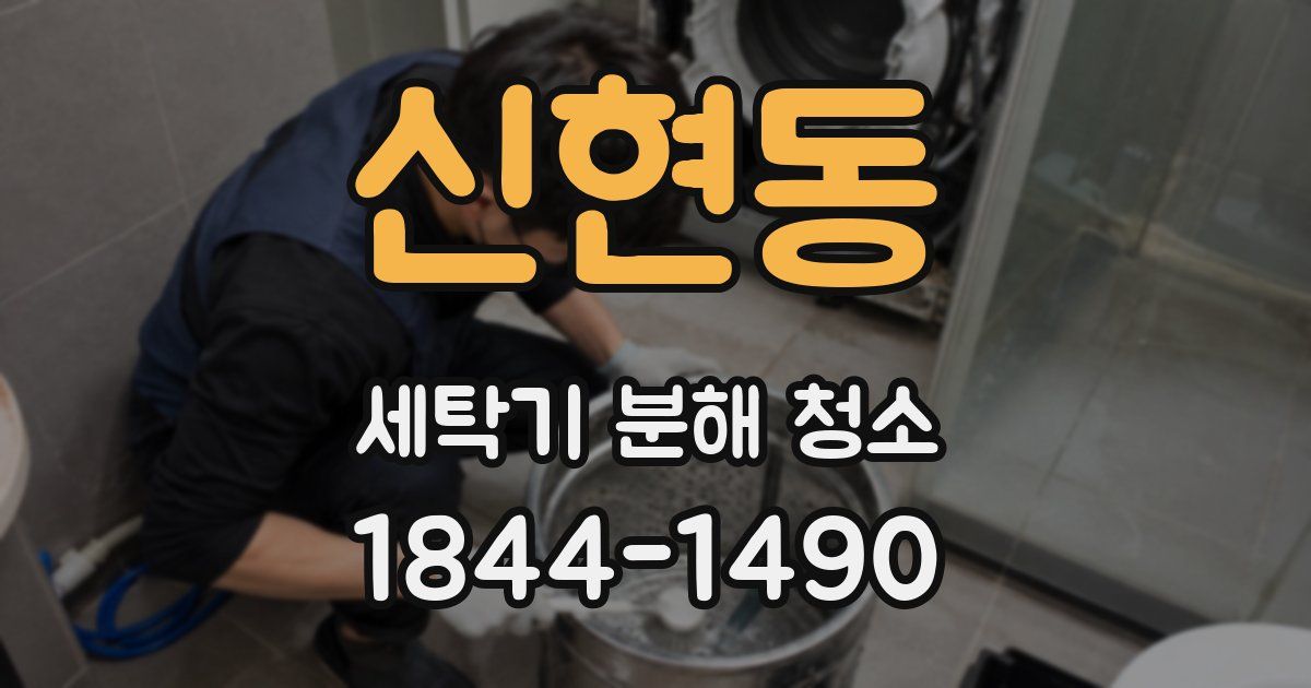 신현동 세탁기 분해 청소