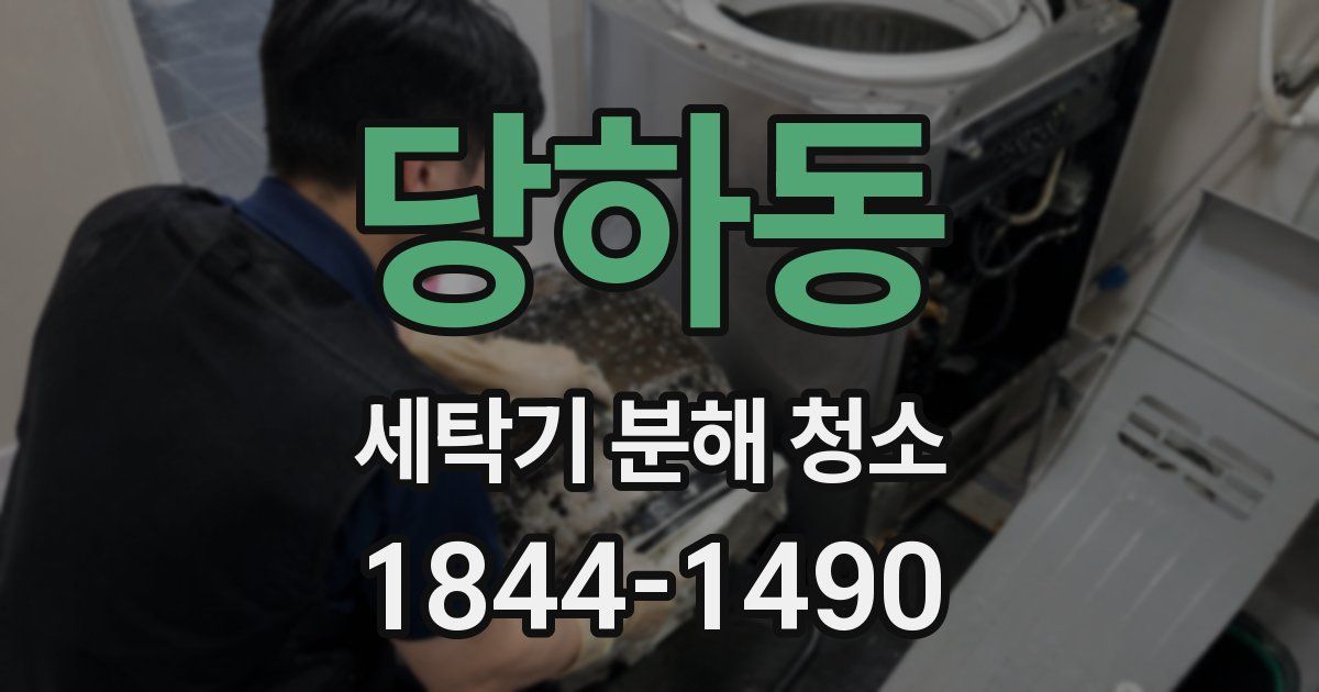 당하동 세탁기 분해 청소