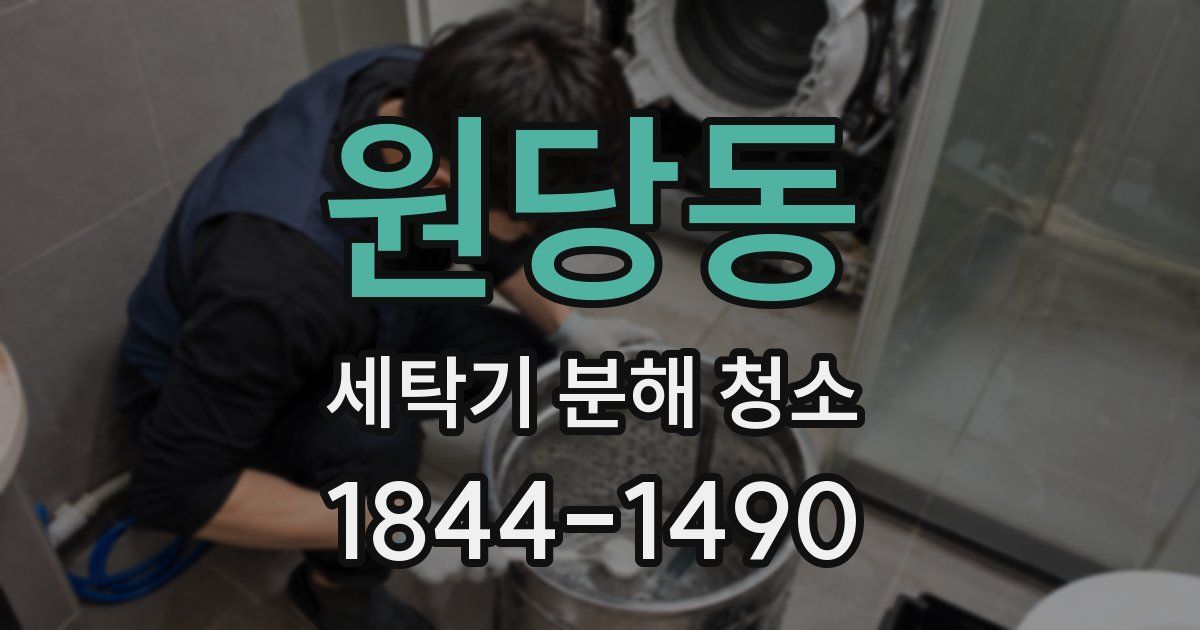 원당동 세탁기 분해 청소