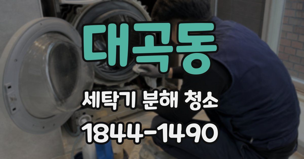 대곡동 세탁기 분해 청소