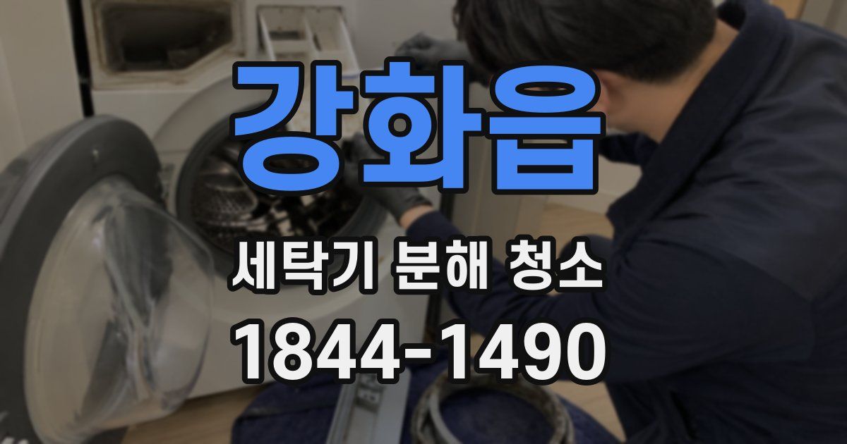 강화읍 세탁기 분해 청소