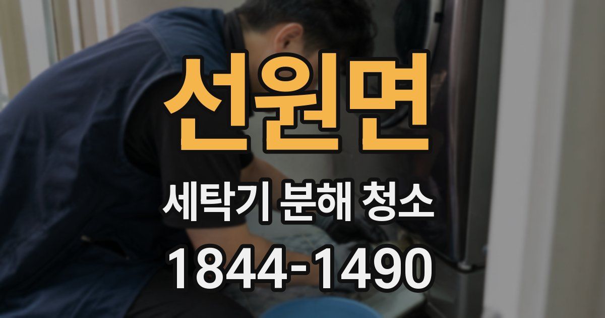 선원면 세탁기 분해 청소