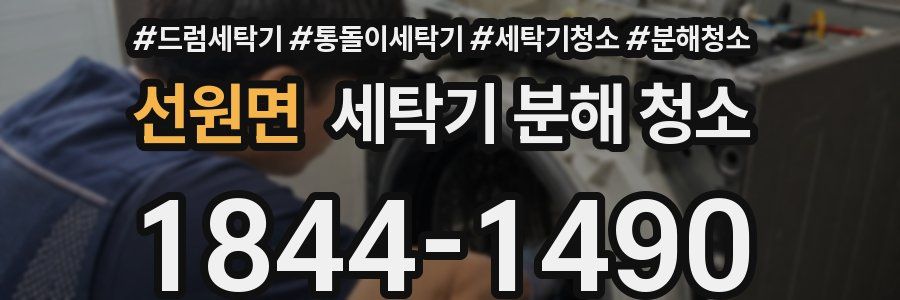 선원면 세탁기 분해 청소