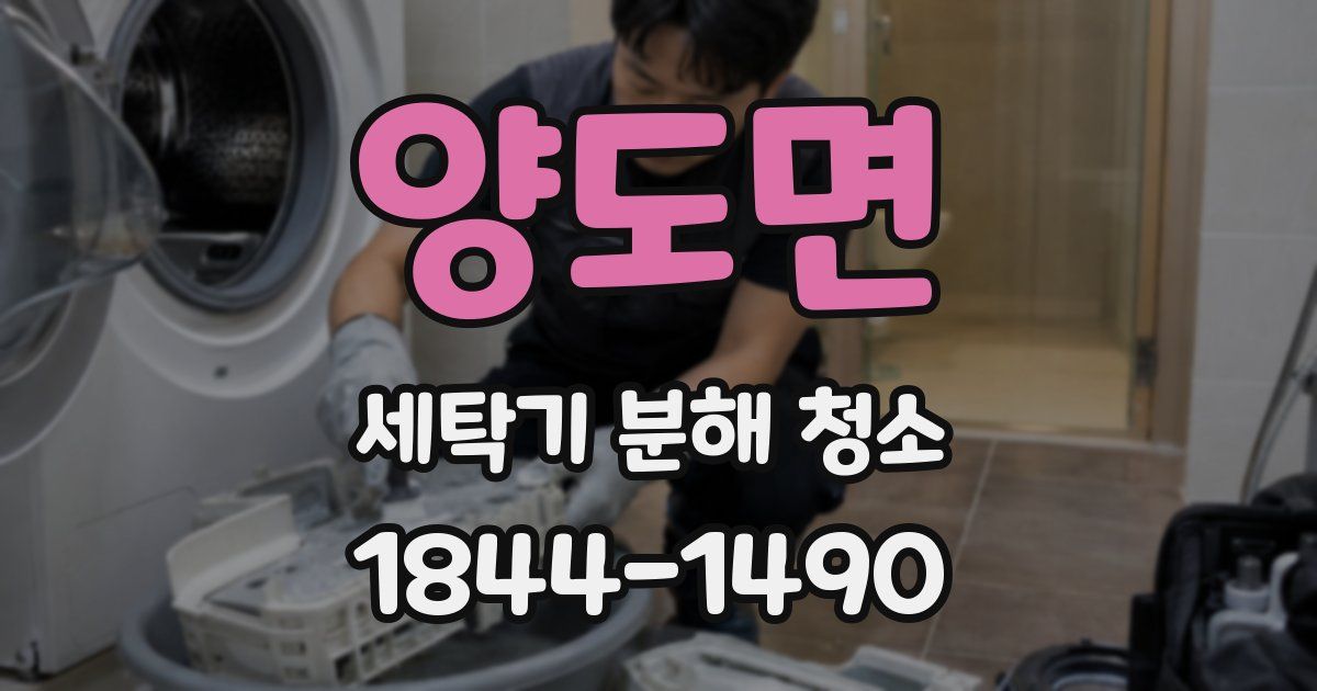 양도면 세탁기 분해 청소