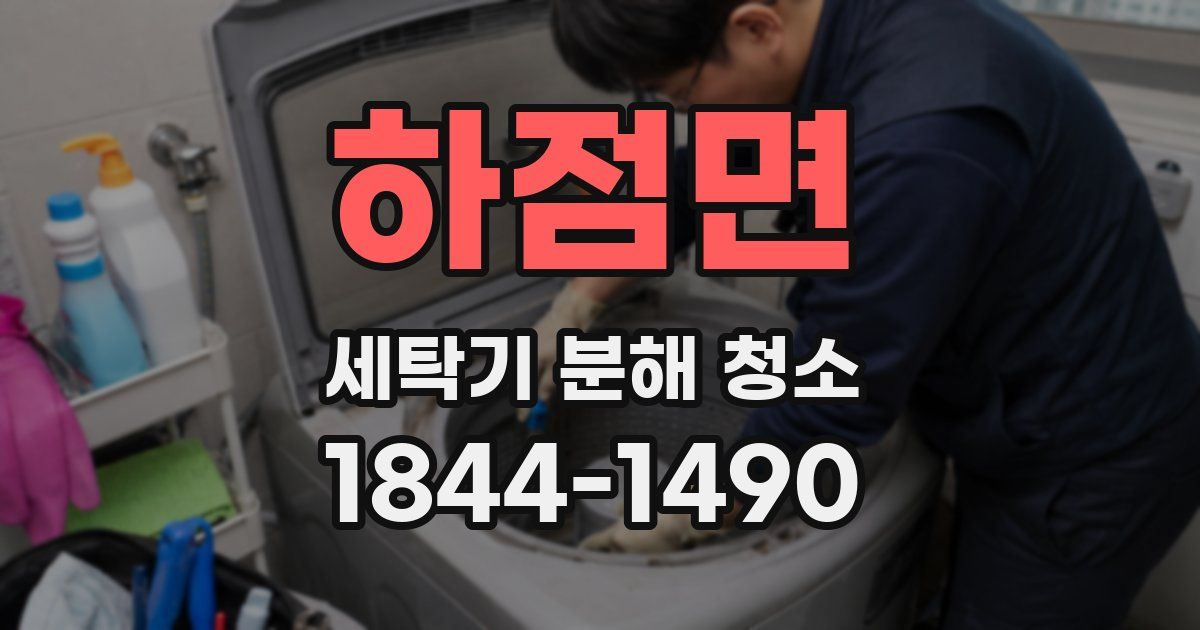 하점면 세탁기 분해 청소