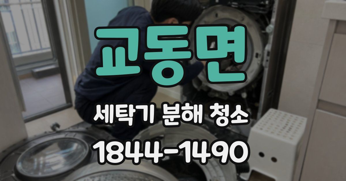 교동면 세탁기 분해 청소